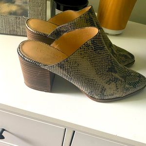 Lauren Conrad heeled snakeskin mules. Size 9.